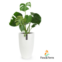 Fox & Fern Květináč Almere Fibre Stone ideální pro rostliny, ručně vyrobený, kónický