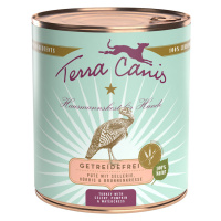 Terra Canis bez obilnin 6 x 800 g - Krůta s dýní, celerem & řeřichou