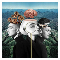 Clean Bandit: What Is Love? - CD