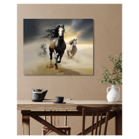 Obrazy na stěnu - Běžící koně v písku 1 Rozměr: 40x50 cm, Rámování: vypnuté plátno na rám