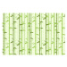 ArtB2B Tapety - Bambus Rozměr: 402x240 cm, Materiál: Latex