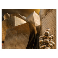 Fotografie Reflections on spheres (Serie Guggenheim Bilbao), Jois Domont, 40 × 30 cm