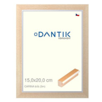 DANTIK rámeček 15 × 20, CARINA Bílý sklo čiré