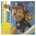 Obraz na plátně Paw Patrol - Chase on Patrol, - 40x40 cm