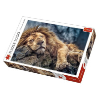 TREFL - Puzzle Spící lev