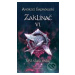 Zaklínač VI: Věž vlaštovky - Andrzej Sapkowski - kniha z kategorie Fantasy