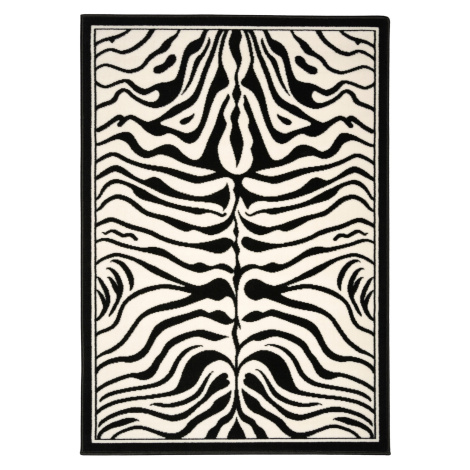 Kusový koberec Zebra black/white 120x170 cm