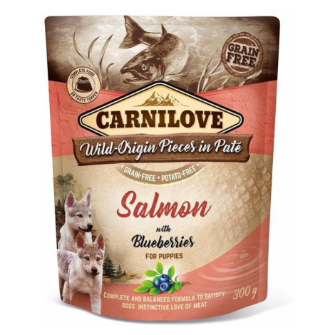 Kapsička Carnilove Dog Paté Salmon with Blueberries for Puppies 300 g