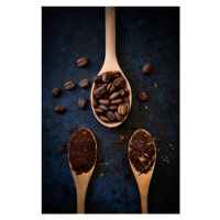 Fotografie Coffee beans, Ronald Novianus, 26.7 × 40 cm