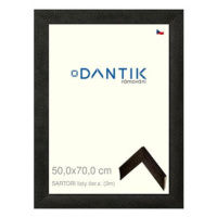 DANTIK rámeček 50 × 70, SARTORI listy čer.s. plexi čiré