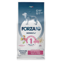 Forza 10 Medium Diet Low Grain s vepřovým - výhodné balení: 2 x 12 kg