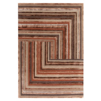 Vlněný koberec v cihlové barvě 120x170 cm Network Terracotta – Asiatic Carpets