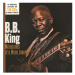 B.B. King: Milestones of a Blues Legend