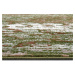 Hanse Home Collection koberce Kusový koberec Gloria 105521 Green Creme Rozměry koberců: 120x170