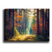 Wallity Obraz na plátně Miracle forest 50x70 cm