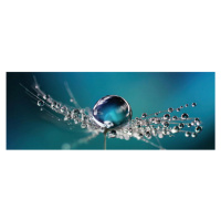 Euroart OBRAZ NA SKLE, květiny cm