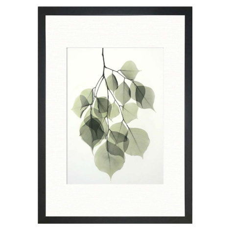 Plakát 24x29 cm Tender Leaves – Tablo Center Vavien Artwork
