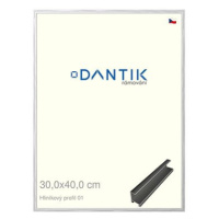 DANTIK rámeček 30 × 40, ALU profil 7001 Stříbrný lesklý plexi čiré