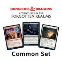 Adventures in the Forgotten Realms: Common Set