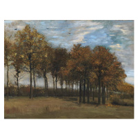 Obrazová reprodukce Autumn Landscape, c.1885, Vincent van Gogh, 40 × 30 cm