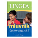 Česko-anglický mluvník Lingea