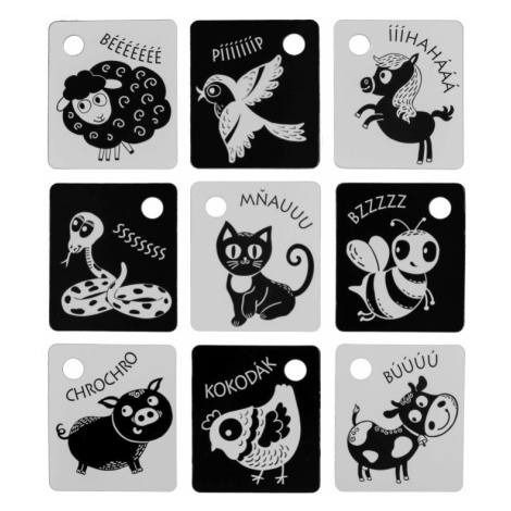 Kontrastní kartičky černo-bílé