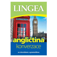 Česko-anglická konverzace Lingea