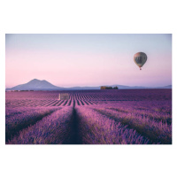 Ilustrace Endless lavender field in Provence, France, serts, 40 × 26.7 cm