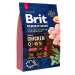 Brit Premium by Nature Junior L 3 kg