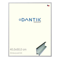 DANTIK rámeček 40 × 50, ALU profil 7022 Stříbrný matný sklo čiré