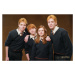 Umělecký tisk Harry Potter - Weasley family, 40x26.7 cm