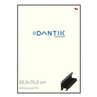 DANTIK rámeček 50 × 70, ALU profil 6030 Dýha černý plexi čiré