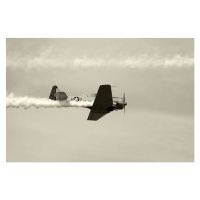 Fotografie Wartime airplane, MMADIA, 40 × 26.7 cm