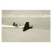 Fotografie Wartime airplane, MMADIA, 40 × 26.7 cm