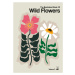 Ilustrace The Illustrated Book Of Wild Flowers Vol.2 Grey, Frances Collett, 30 × 40 cm