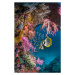 Fotografie Butterflyfish with soft corals., Georgette Douwma, 26.7 × 40 cm