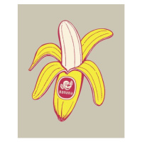 Ilustrace Banana, CSA-Printstock, 30 × 40 cm