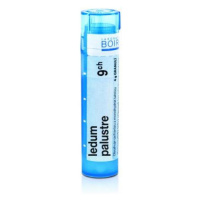 BOIRON Ledum Palustre CH9 4 g