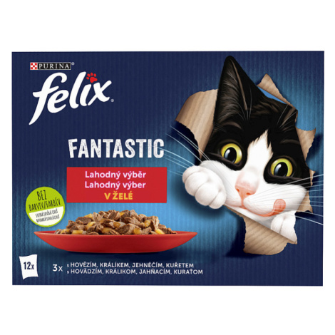 FELIX Fantastic lahodný výběr s kuřetem, s hovězím, s králíkem, s jehněčím 12 x 85g