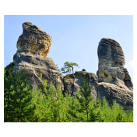 Fotografie Sandstone rock in Hruboskalsko Nature Reserve,, vencavolrab, 40 × 33.4 cm