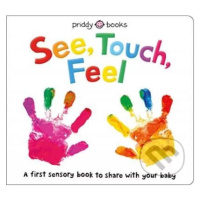 A First Sensory Book (A first sensory book to share with your baby) - kniha z kategorie Pro děti