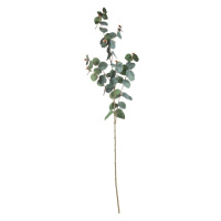 Dekoria Větev eukalyptu 90cm dark green, 5 x 5 x 90 cm