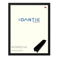 DANTIK rámeček 40 × 50, ALU profil 7005 Černý matný sklo čiré