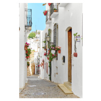 Fotografie Picturesque narrow street with flowerpots in, amoklv, 26.7 × 40 cm