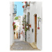 Fotografie Picturesque narrow street with flowerpots in, amoklv, 26.7 × 40 cm