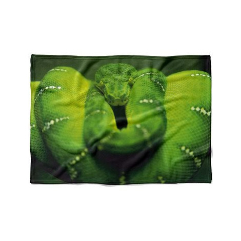 IMPAR Fleecová deka Zelený had, 200 × 140 cm