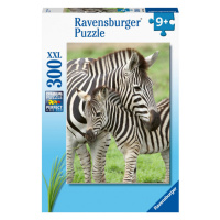 RAVENSBURGER Zebry XXL 300 dílků