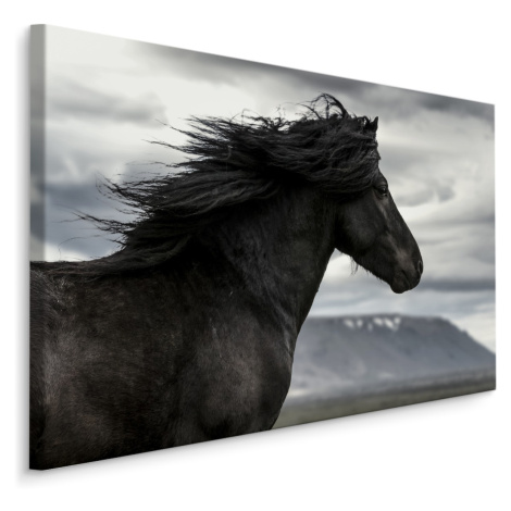 MyBestHome BOX Plátno Černý Kůň I. Varianta: 120x80