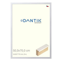 DANTIK rámeček 50 × 70, KASSETTE bílý plexi čiré