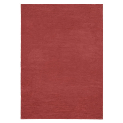 B-line  Kusový koberec COLOR UNI Terra - 160x230 cm